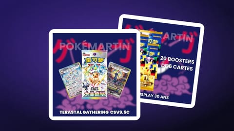 Bilan 2026 du Pokémon chinois : les sorties qui ont marqué l'année
